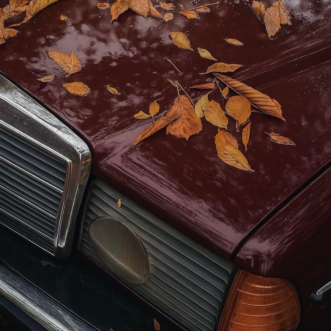 Autumn Edit
