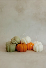 Mini Pumpkin Set